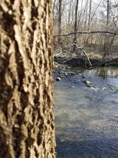 Park «Mather Woods Forest Preserve», reviews and photos, 25032 W Renwick Rd, Plainfield, IL 60544, USA