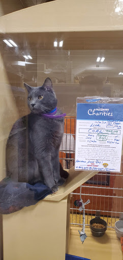 Pet Supply Store «PetSmart», reviews and photos, 5154 Nicholson Ln, Kensington, MD 20895, USA