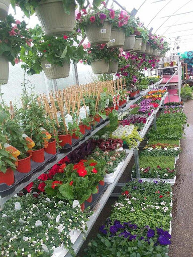 Hardware Store «Scholze Ace Home Center», reviews and photos, 133 County Rd A, Black River Falls, WI 54615, USA