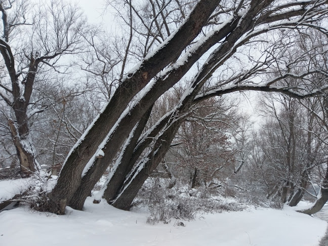 MÁRAI SÁNDOR EMLÉKMŰ - Múzeum
