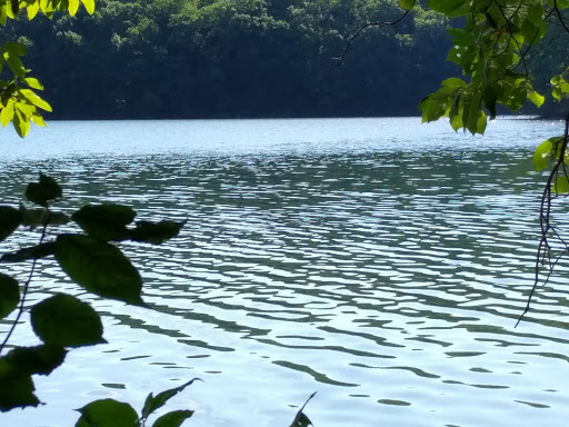 Nature Preserve «Liberty Reservoir», reviews and photos, 5685 Oakland Rd, Eldersburg, MD 21784, USA