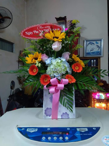 Top 20 cửa hàng doraemon Huyện Phú Ninh Quảng Nam 2022