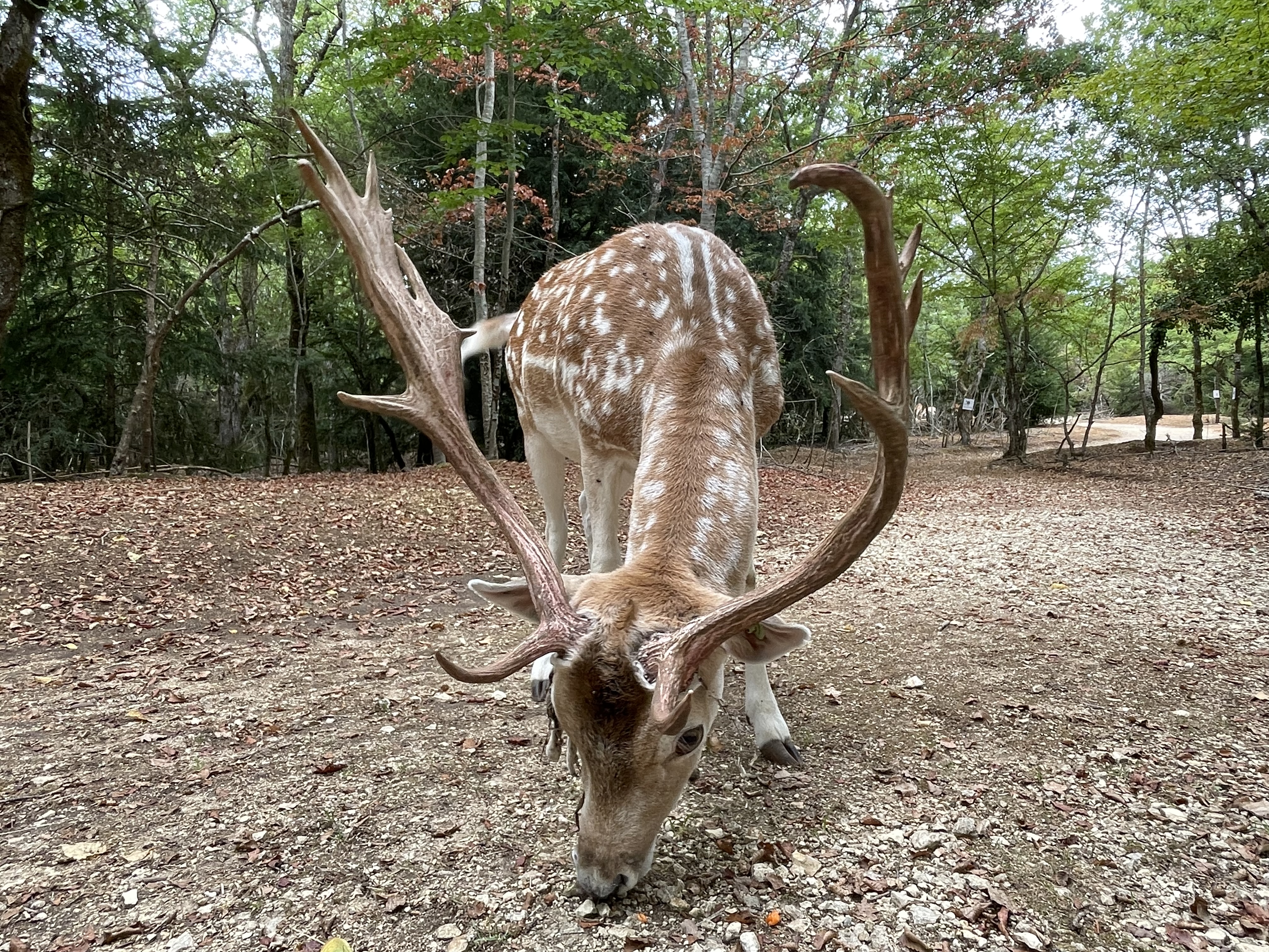 Photo n° 1 de l'avis de Celia.e fait le 23/08/2022 à 19:00