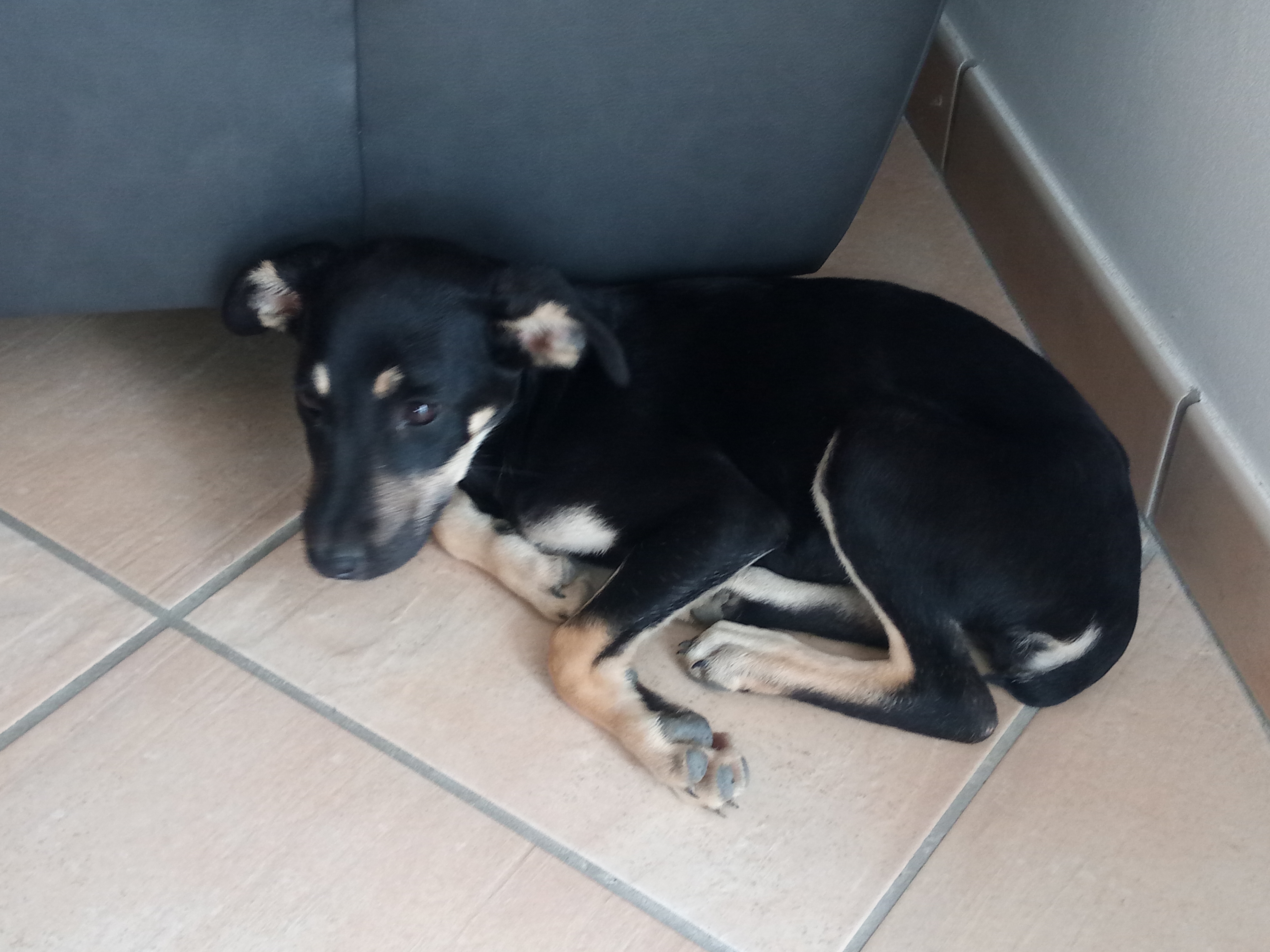 Photo n° 1 de l'avis de Thomas.i fait le 18/05/2019 à 12:27
