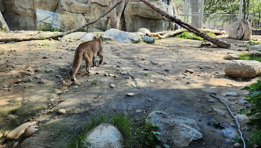 California Living Museum (CALM)