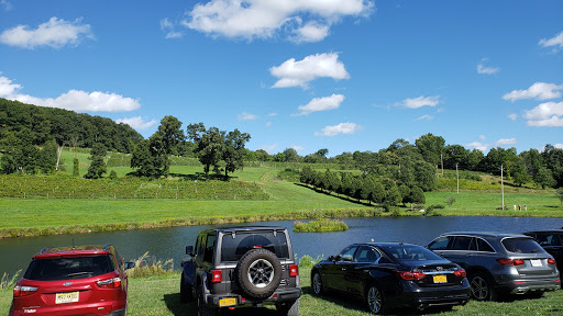 Winery «Millbrook Vineyards & Winery», reviews and photos, 26 Wing Rd, Millbrook, NY 12545, USA