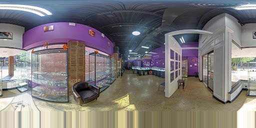 Explore letter r tattoo ideas, creative tattoo ideas in Kalamazoo, available at Kitten Flower Boutique Jewelry and Body Piercing