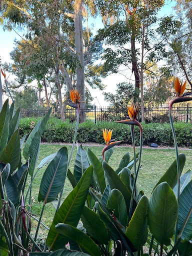 Marriotts Newport Coast Villas image