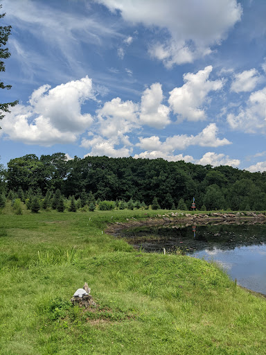 Outdoor Sports Store «Maple Hill Disc Golf», reviews and photos, 132 Marshall St, Leicester, MA 01524, USA