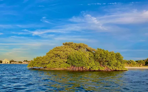 Jack's Island image