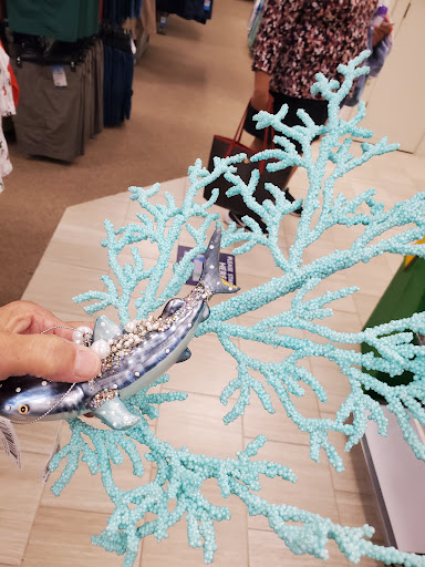 Department Store «Bealls Store», reviews and photos, 5998 Cypress Gardens Blvd, Winter Haven, FL 33884, USA