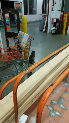 Home Improvement Store «The Home Depot», reviews and photos, 101 Towne Center Dr, Compton, CA 90220, USA