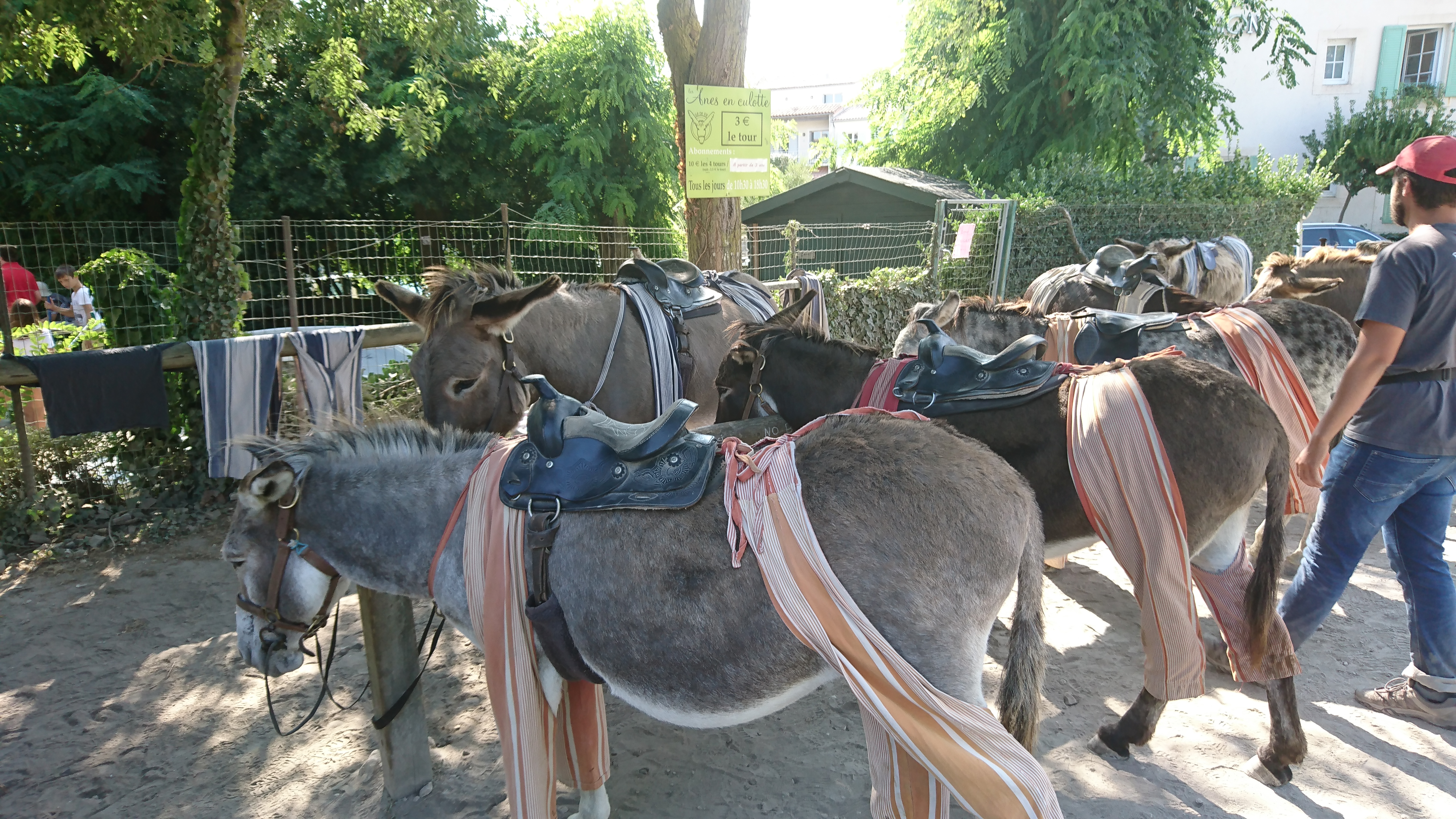 Photo n° 4 de l'avis de Stephane.e fait le 24/08/2018 à 08:35