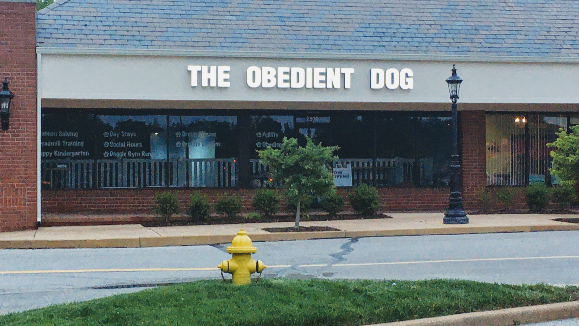 The Obedient Dog LLC