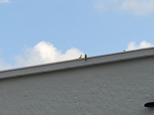 Tire Shop «Walmart Tires & Auto Parts», reviews and photos, 5315 Cortez Rd W, Bradenton, FL 34210, USA