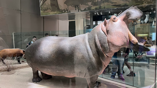 Rail Museum «Baltimore & Ohio Railroad Museum», reviews and photos, 901 W Pratt St, Baltimore, MD 21223, USA