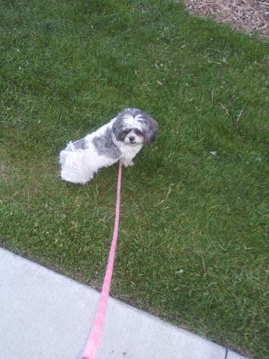 Park «Pulaski Park», reviews and photos, 3300 E Bayaud Ave, Denver, CO 80209, USA