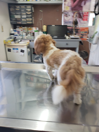 Veterinaria San Miguel