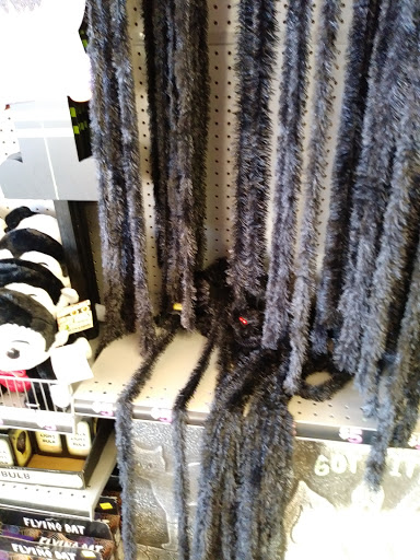 Dollar Store «Dollar Tree», reviews and photos, 52 Rockland Plaza, Nanuet, NY 10954, USA