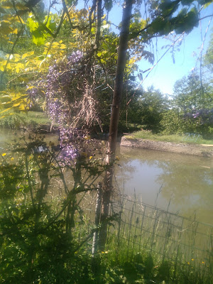 le moulin bouquet à La Chapelle-aux-Chasses