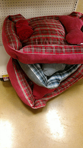 Pet Supply Store «PetSmart», reviews and photos, 131 Town Center Rd, King of Prussia, PA 19406, USA