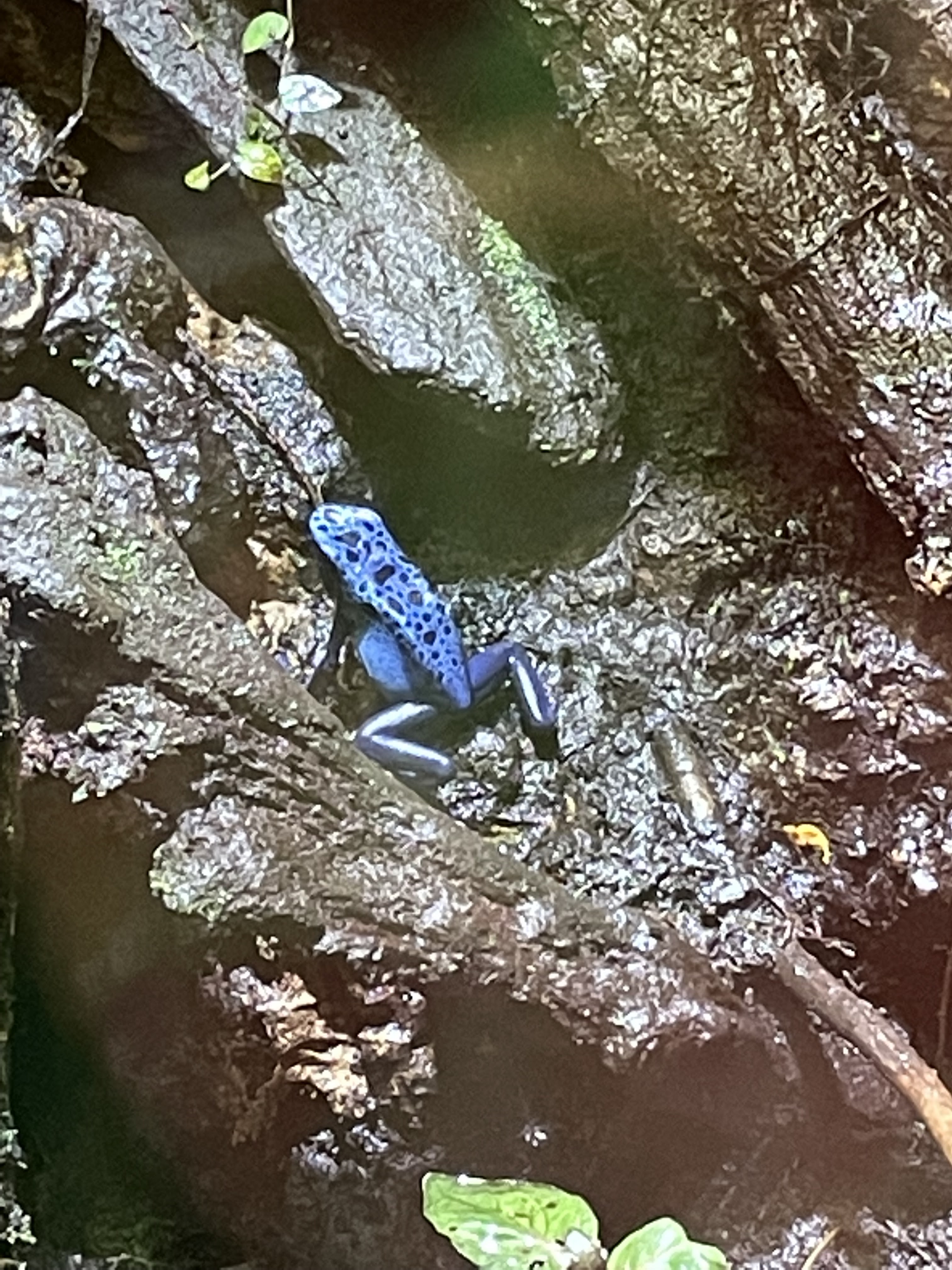 Photo n° 7 de l'avis de Didier.o fait le 15/06/2021 à 16:28