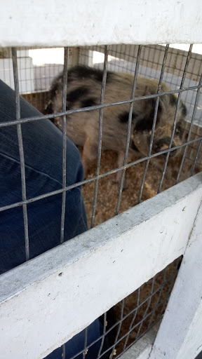 Animal Feed Store «Farmers Feed & Pet Supply», reviews and photos, 1302 E Miner Ave, Stockton, CA 95205, USA