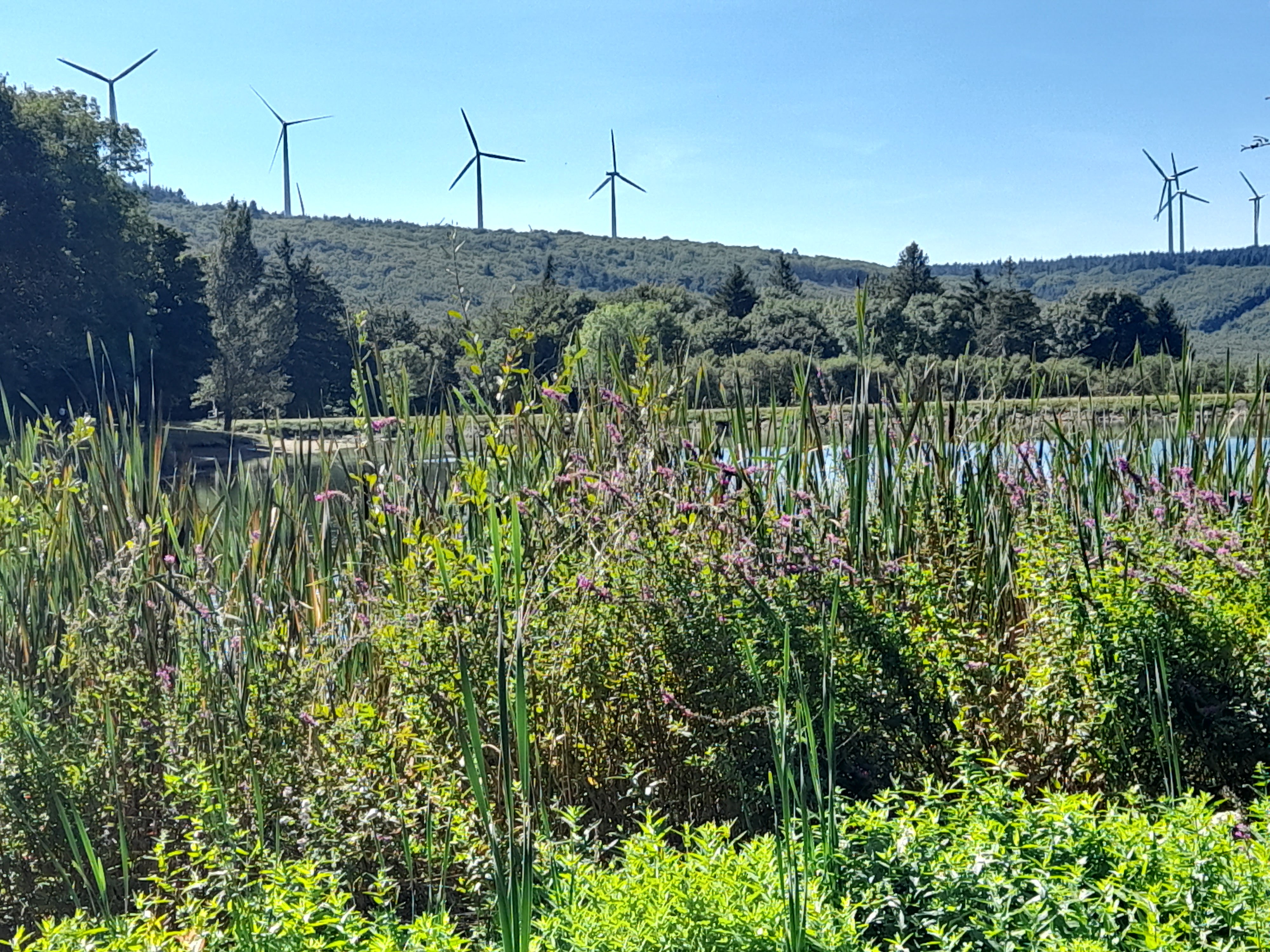 Photo n° 8 de l'avis de Pascaline.e fait le 05/09/2021 à 12:41