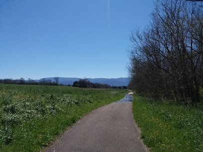 Tusculum Linear Park Walking and Biking Trail