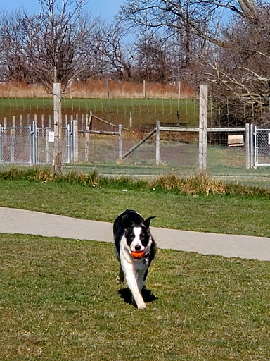 Dog park Grand Rapids