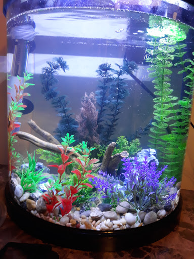 Pet Supply Store «PetSmart», reviews and photos, 4429 Pecanland Mall Dr, Monroe, LA 71203, USA