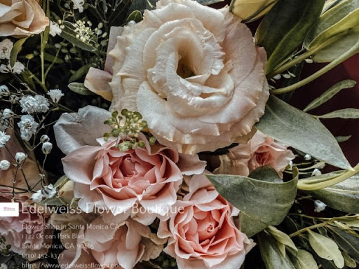 Florist «Edelweiss Flower Boutique», reviews and photos, 1722 Ocean Park Blvd, Santa Monica, CA 90405, USA