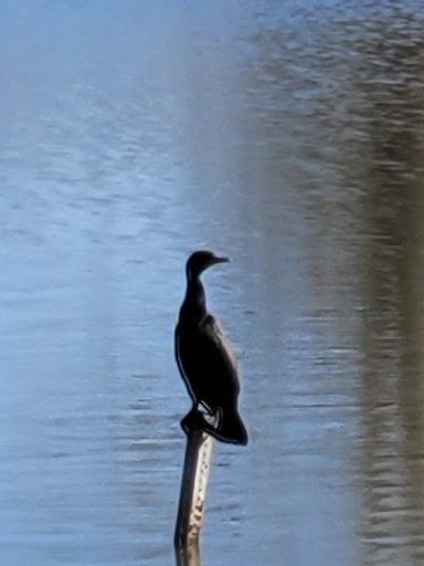 Park «Huston Lake Park», reviews and photos, 850 S Bryant St, Denver, CO 80219, USA