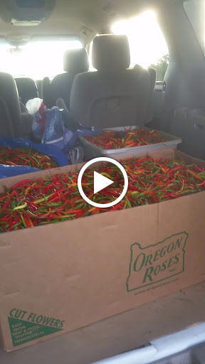 Golf Course «Inver Wood Golf Course», reviews and photos, 1850 70th St E, Inver Grove Heights, MN 55077, USA