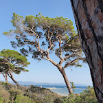 Photo n°3 de l'avis de Monika.e fait le 01/08/2021 à 08:42 sur le  The Sense Experience Resort à Follonica