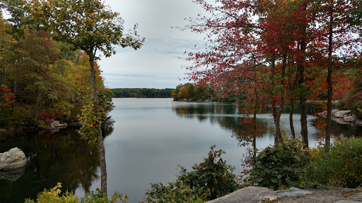 State Park «Lincoln Woods State Park», reviews and photos, 2 Manchester Print Works Rd, Lincoln, RI 02865, USA