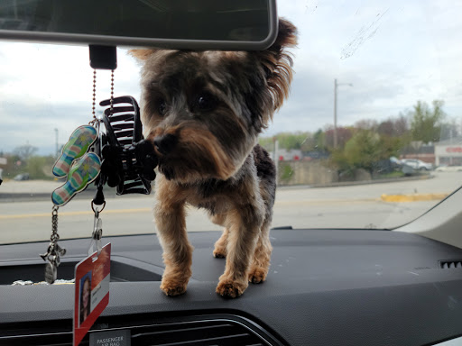 Pet Supply Store «PetSmart», reviews and photos, 777 S Willow St, Manchester, NH 03103, USA