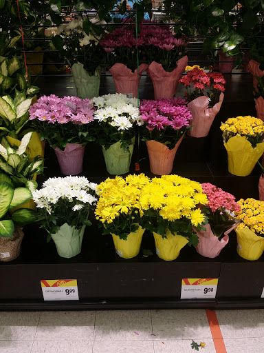 Grocery Store «Shoppers», reviews and photos, 2425 Centreville Rd, Herndon, VA 20171, USA