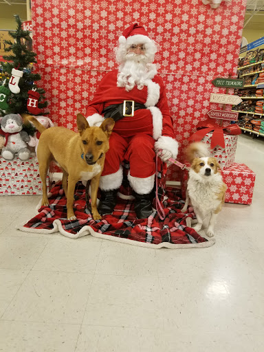 Pet Supply Store «PetSmart», reviews and photos, 6675 S Virginia St, Reno, NV 89511, USA