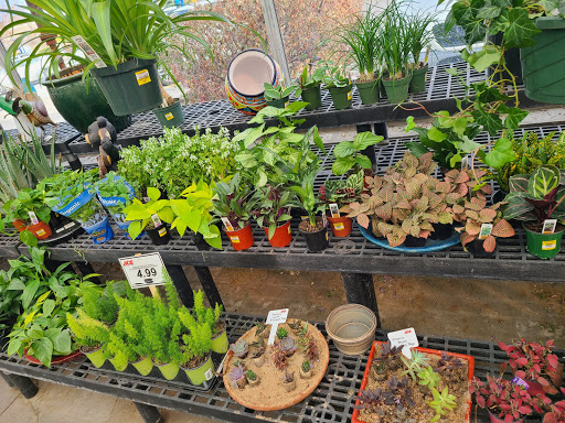 Hardware Store «Ace Hdwe Highlands Ranch», reviews and photos, 9579 S University Blvd Ste 100, Highlands Ranch, CO 80126, USA