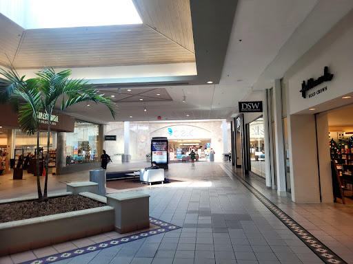 Barnes & Noble, 7804 Abercorn Extention, Savannah, GA 31406, USA, 