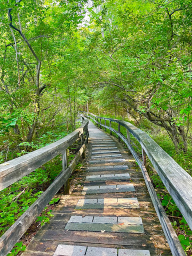 Nature Preserve «Beaver Meadow Audubon Center», reviews and photos, 1610 Welch Rd, Java Center, NY 14082, USA