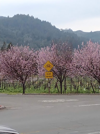 General Store «Dry Creek General Store», reviews and photos, 3495 Dry Creek Rd, Healdsburg, CA 95448, USA