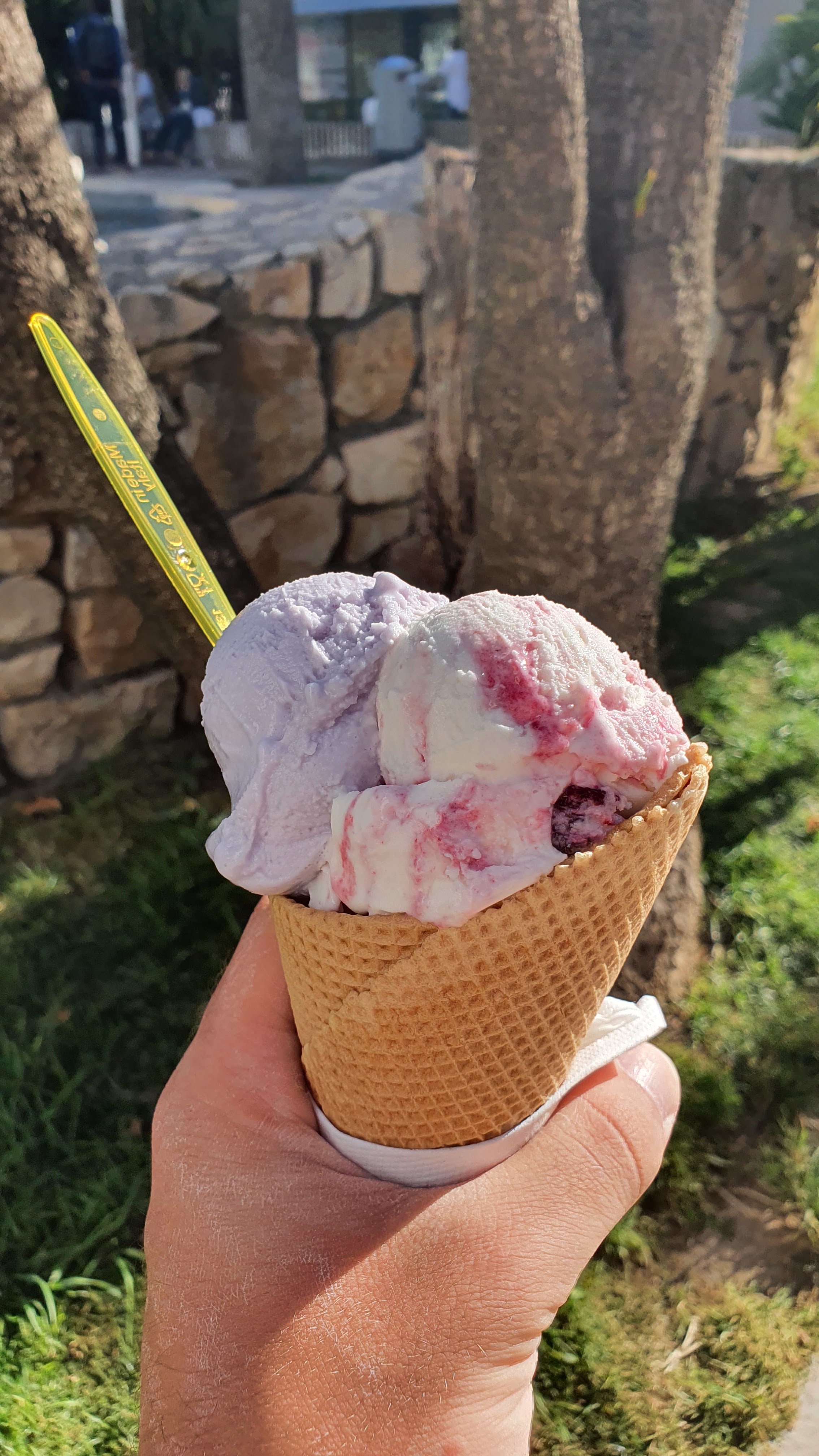 Photo n° 1 de l'avis de Alexandre.i fait le 17/06/2020 à 16:46