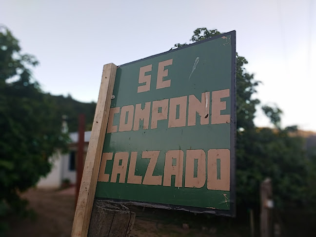 Opiniones de Reparadora de Calzado "Luis Ortiz" en Santa Cruz - Zapatería