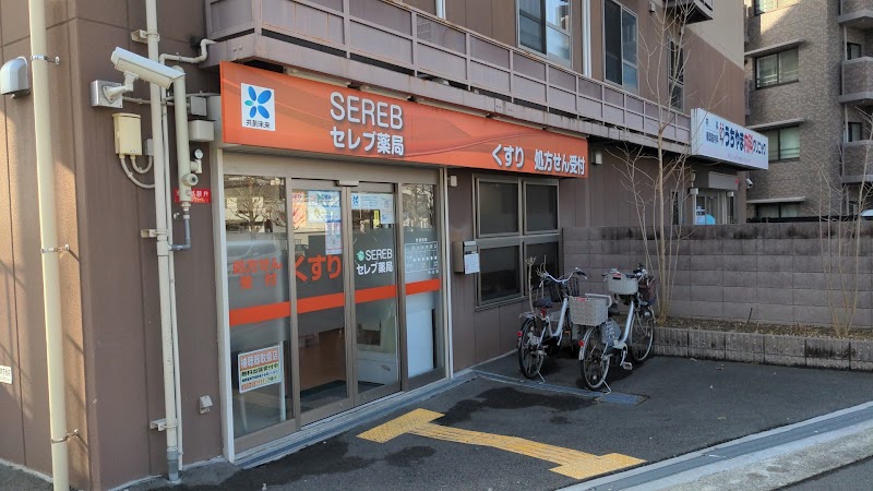 セレブ薬局 上野東店