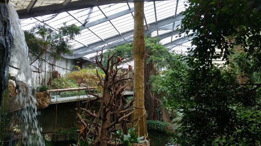 Foundation «The Henry Doorly Zoo», reviews and photos, 3701 S 10th St, Omaha, NE 68107, USA