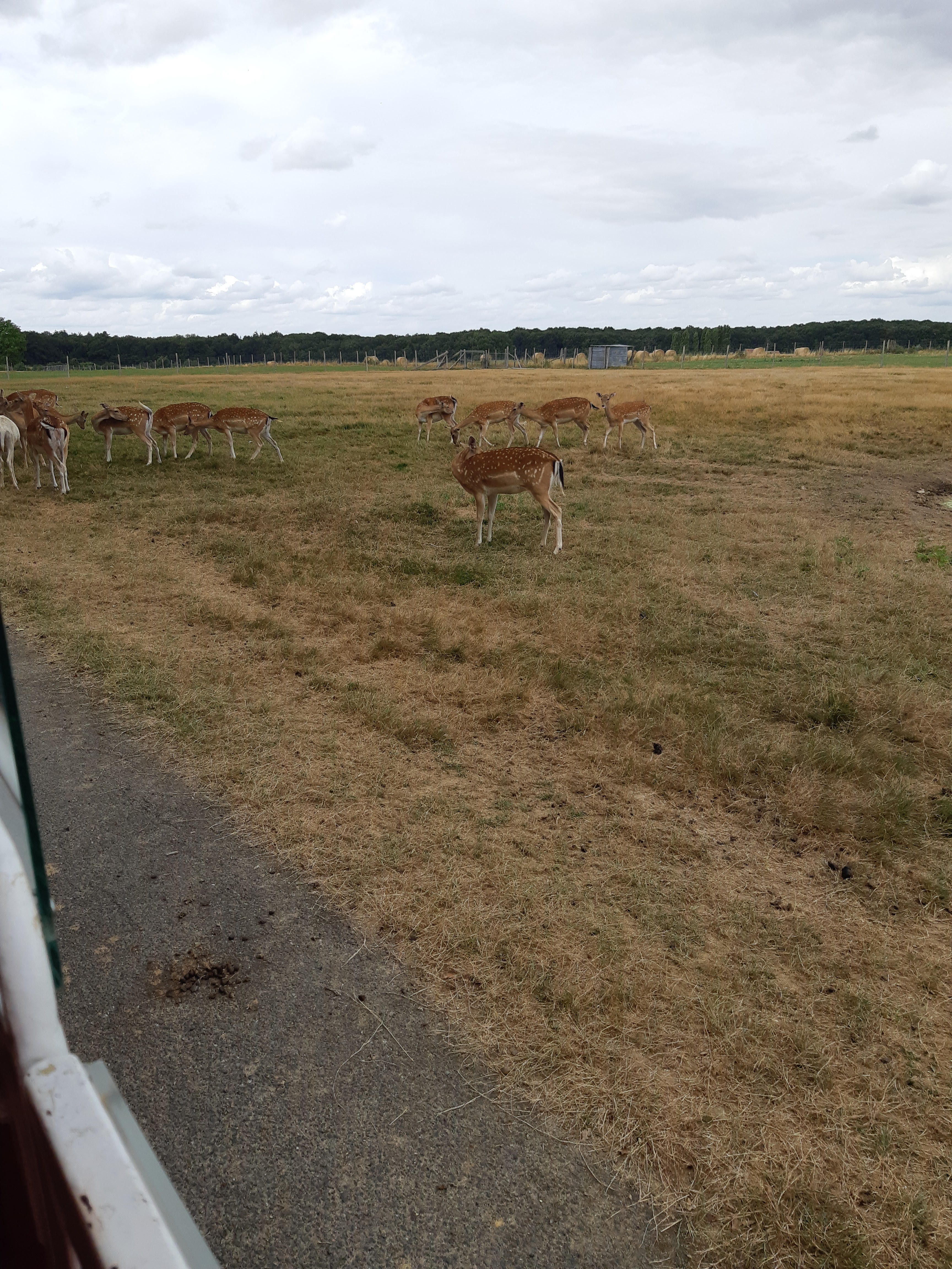 Photo n° 19 de l'avis de Carla.a fait le 10/08/2018 à 15:54