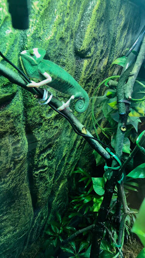 Pet Supply Store «Petco Animal Supplies», reviews and photos, 3110 S Louise Ave, Sioux Falls, SD 57106, USA