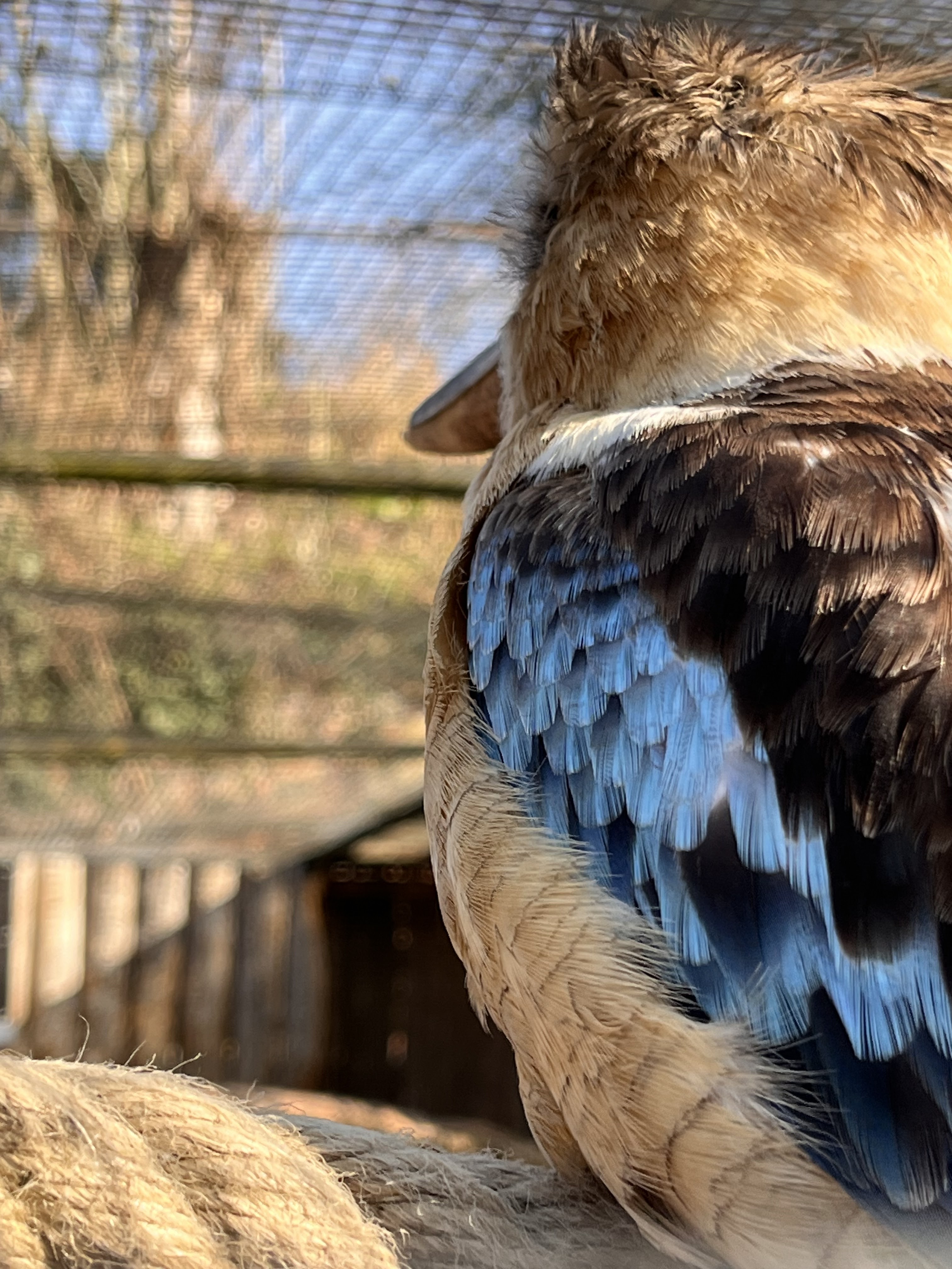 Photo n° 2 de l'avis de Audrey.� fait le 15/03/2024 à 18:09